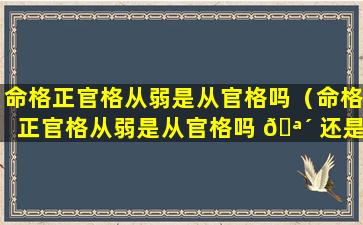 命格正官格从弱是从官格吗（命格正官格从弱是从官格吗 🪴 还是正官）